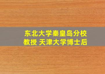 东北大学秦皇岛分校教授 天津大学博士后